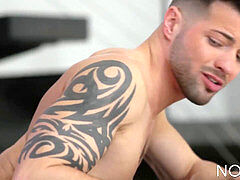 Hd videos, gay suck, bareback