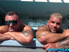 2 monstrous cats with the mature one in the pool