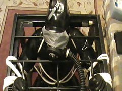 Restrained to a cage - 5
