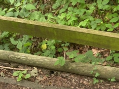 Seducing a married dude in the forest