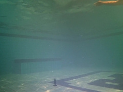 Taut booty finds faux-cock underwater and swims with it