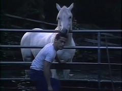 Dynastud - HIS Video