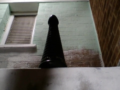 Extraordinary Assfuck Spreading With Fake penis Camera Wipeout