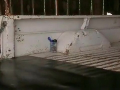 VINTAGE-BUCKLEROOS II PT 4 OF 5