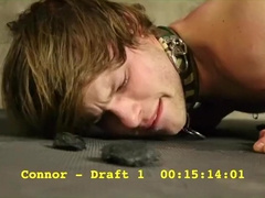 Puppy dog hard training