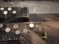 Twink Strips Shows Body, Ass And Hard Cock Ends With Cumshot