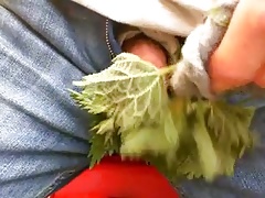 Nettles cock torture 2017