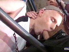 homosexual twink blows handies fellow