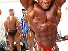 Bodybuilder, gay muscle, bodybuilder