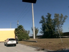 Interracial fun with bi-racial babes: Joy of Homos