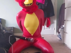 Love Glove Bird Blinded, Jerked and Overstimulated