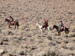 Plantureuse, Hd, Nue à poil, Allumeuse, Rétro ancien