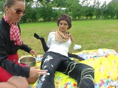 Messing Up A Perfectly Good Picnic