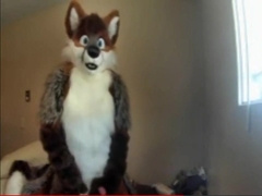 Fursuit sex 136