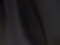 Married studs in the forest looking fron wood