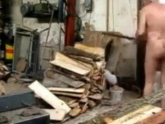 Silver Fox Strokes Wood at the Sawmill