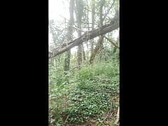Enjoyable walk in the woods