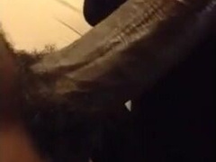 White Guy Sucking Black Dick 12