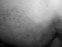 Huge Asian Cock from Sri Lanka