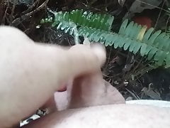 Me pissing outdoors again daytime gay horny