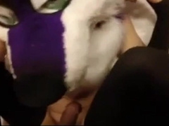 Femboy Bareback Creamed Adventure