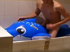Dolphin In The Bath