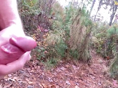 Hiking in the forest, liking myself out in nature.