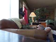 Silver Fox Servicer 2