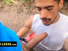 Beach, gay-sex, popshot