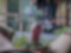 LIFELESS – screwed by inanimate objects