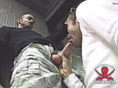 Classic gay, retro gay, sucking straight cock