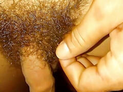 Political Pisser Solo