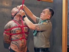 Hd, domination & submission, jerks off