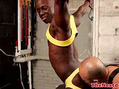 Gayblack hunk ravaged with white meat