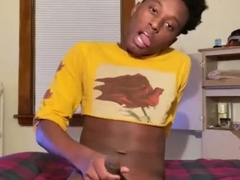 Demonstrating my Aficionados Enjoy