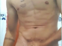 Would you like to have an ejaculation with me ? Part two ( truly stiff trunk ) wanna boink you