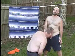 grizzlies in the Backyard