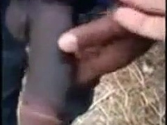 Playing with big black cock 5