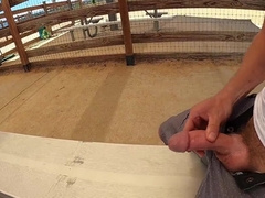 Back to the mutt park for another public money-shot