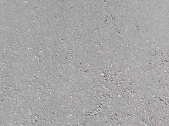 Morning Walk, looking for where to get a Man Sausage to Jack