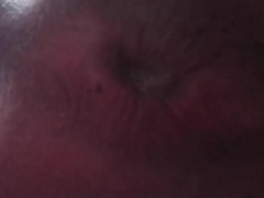 Putito Enjoys His Toy In His Bed