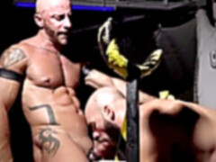 two bears behind the party stiff