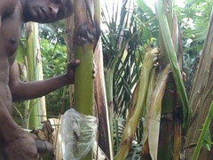 Dude all alone In the Woods and make the plantain tree is wifey and Plumb on it