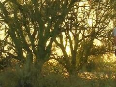 Outdoor Anal Play For Twink Lovers - Jasper Robinson And Jason Valencia