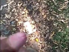 helping hand in park 21