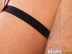 Bearded bears asshole pounded hard after cock sucking