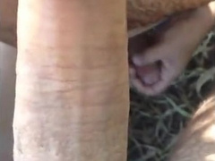 Blowjob at the beach