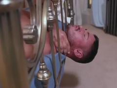 Sir Peter - Alexis Grande