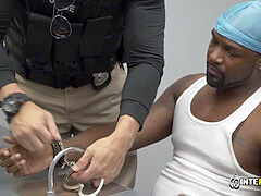 Teddy, fellatio, bareback