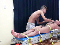 Warren tickled ditzy